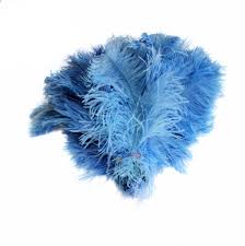 Reclaimed Ostrich Feathers